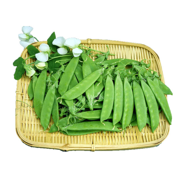 荷蘭豆配送-久久水蜜桃视频配送-深圳市水蜜桃视频在线观看農產品有限公司
