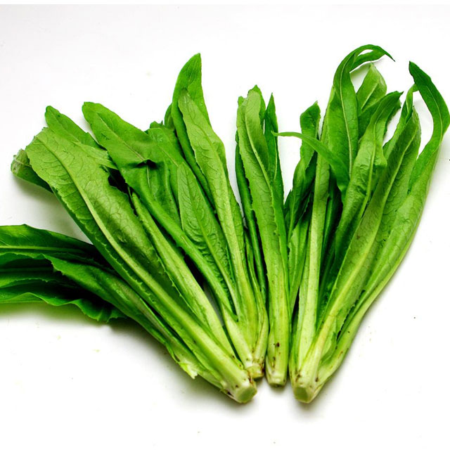 油麥菜配送-久久水蜜桃视频配送-深圳市水蜜桃视频在线观看農產品有限公司