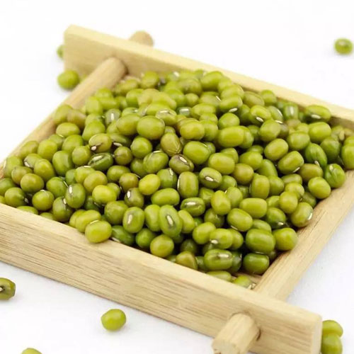 水蜜桃视频在线观看綠豆配送