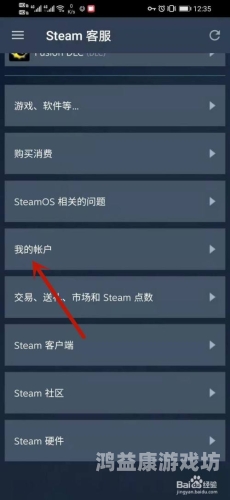 Steam手机客户端深度解析，移动游戏生态的变革与影响steam手机客户端怎么改中文