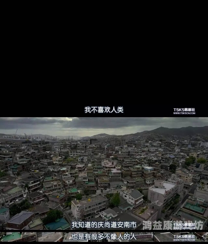 国产电影的崛起，探索18禁久久影院背后的创作与挑战