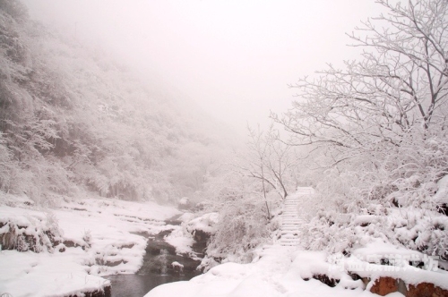 飘雪影视大全免费观看视频飘雪影视大全免费观看视频