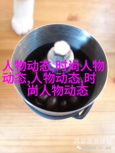 入口官方正版探索官方正版的多元魅力