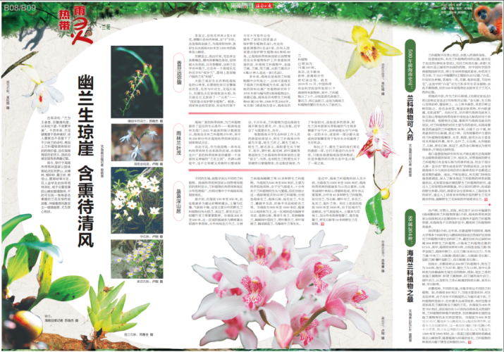 探秘亚洲，自然奇观与珍稀物种的视听盛宴