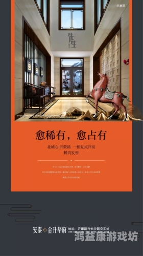 安装安装，从基础到进阶，打造完美使用体验