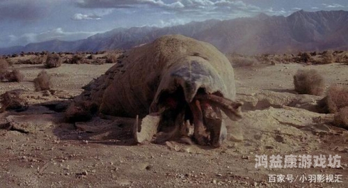 欧美高清影视一区，一场视听盛宴的独特探索大象一区