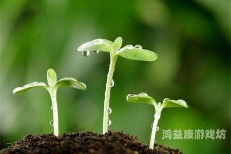 久久青草一区二区三区，探索绿色生活的新选择