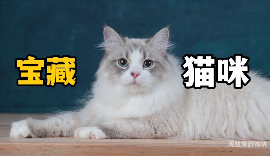 资源猫资源猫，影视爱好者的宝藏平台