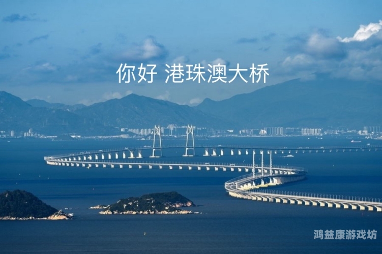 中文版中文版，跨越语言的桥梁，连接世界的纽带