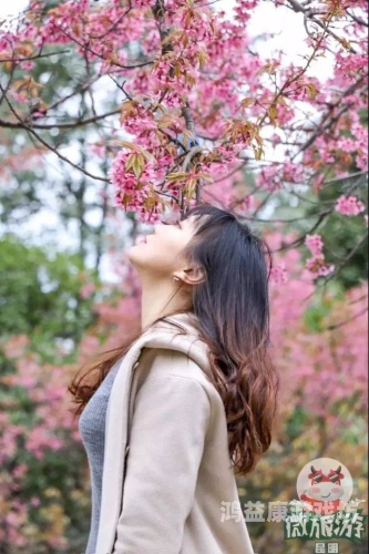 日本精品在线免费观看完整版亚州日本精品剧集在线观赏指南，解锁亚洲魅力之旅