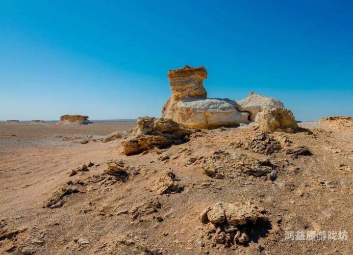 无人区，荒蛮之地的生死较量与人性抉择