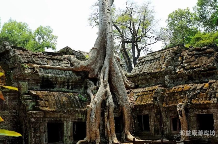 亚洲天堂电影院，跨越国界的光影之旅大地资源二3在线观看免费高清