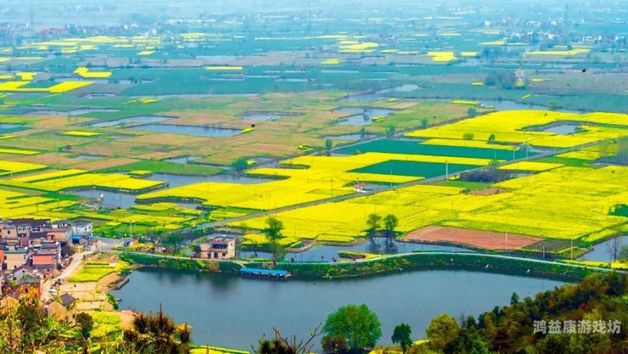 探索国语影视的魅力，国语精品免费自产拍在线观赏指南