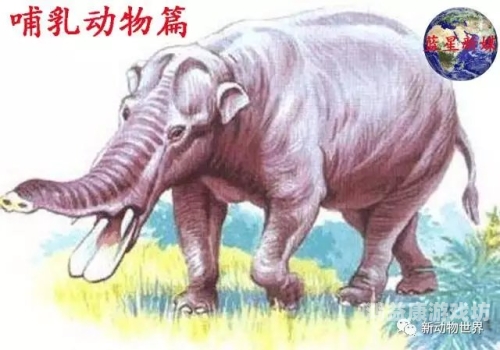 国产无矿码大象永久国产无矿码大象永久——国货之光的崛起