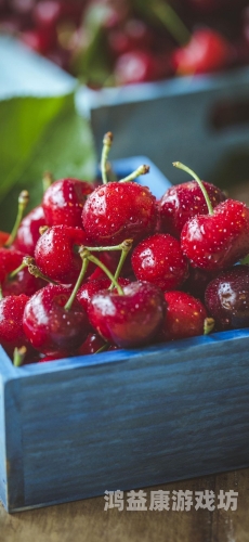 手机版手机版应用全面评测与推荐，让你随时随地享受便捷生活