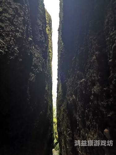 国产精品91一线天国产精品的一线、二线、三线品牌大揭秘