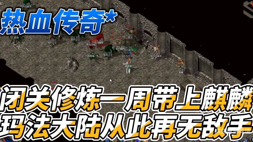 今日新开传奇刚开一秒今日新开传奇刚开一秒，重燃热血传奇，共赴玛法之约