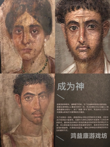 神话永生，探索人类对不朽的追求与文化影响神话永生的动物