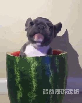 爽爽综合网，一站式休闲娱乐导航平台歌曲爽爽爽