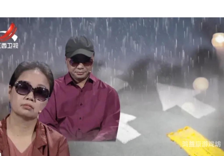 久精品免费观看国产33揭秘久精品免费国产33，真相背后的反思与警示