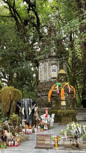 日本久久精品免费观看日本久久精品的免费盛宴，一场视觉与心灵的奇妙之旅