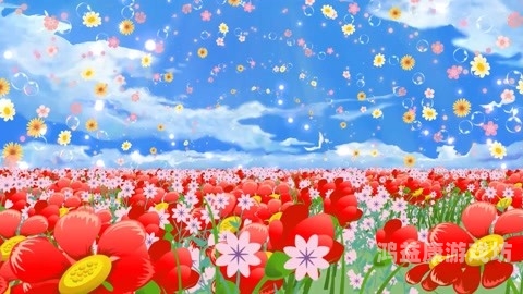 花海视频，视觉盛宴中的诗意与浪漫花海视频素材库大全免费
