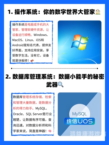 软件网站软件网站，探索数字世界的无限可能