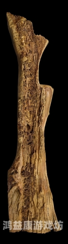 国产精品精品免费国产精品的璀璨之光，文化自信与创新驱动下的时代华章