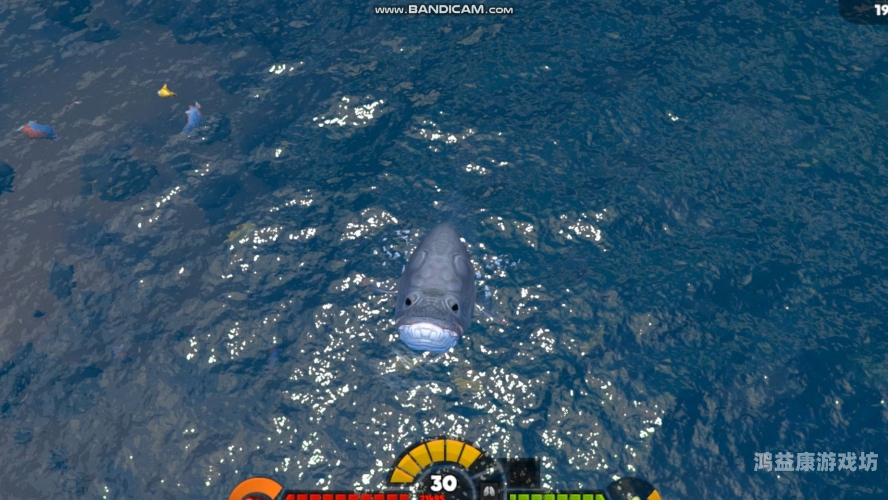 深海猎杀，探秘海底大猎杀的奇幻冒险海底大猎杀破解版下载