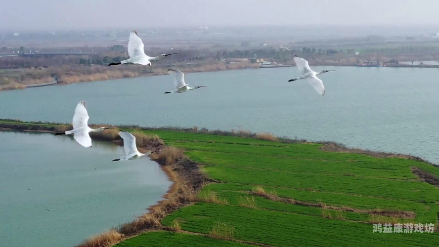 大地资源二在线观看免费高清大地资源二在线观看免费高清，畅享影视盛宴