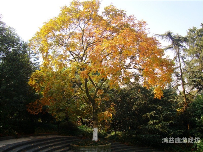 人成免费在线观看欧美探索欧美影视盛宴，免费在线观赏指南