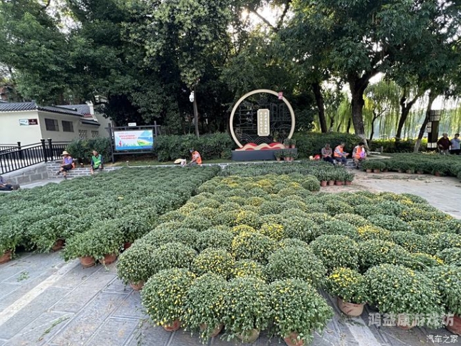 国产黑丝在线，时尚与文化的交融，探寻中国丝袜产业的发展之路亚洲尺码和欧洲尺码专线