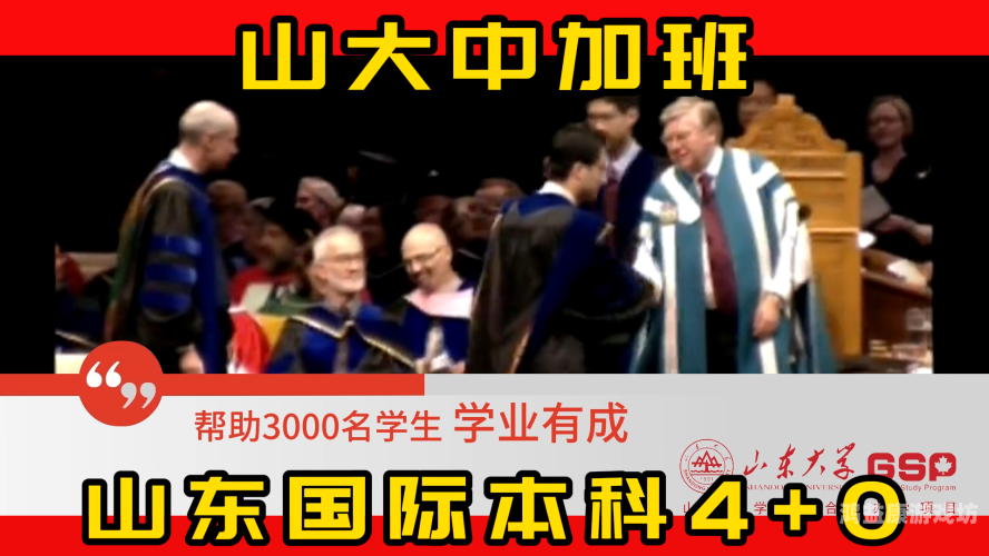 国产日本在线，跨文化娱乐的新篇章