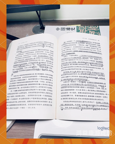 一个人看的www高清小说在线，沉浸式阅读体验的新选择一个人看的www高清小说在线看