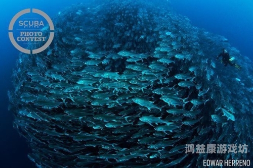 亚洲视频区，探索亚洲影视文化的多元魅力与未来发展趋势655fun.黑料热点事件-黑料不打