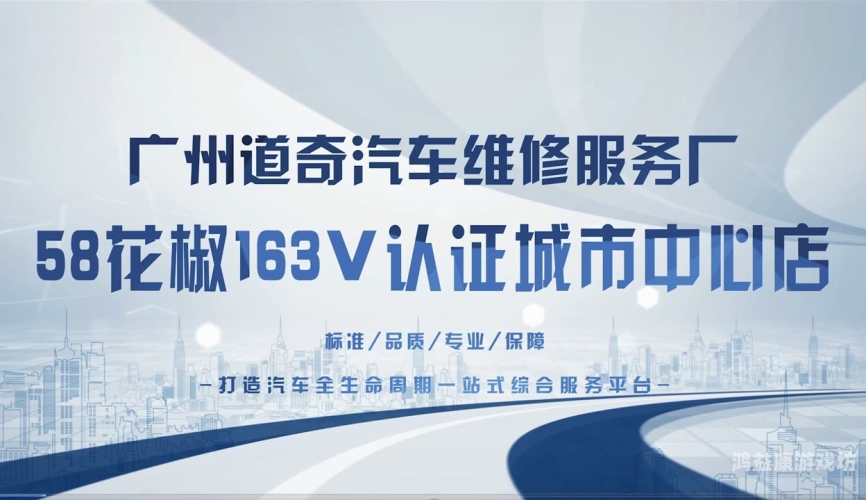 天天综合久久久网，一站式综合服务平台的全方位解析