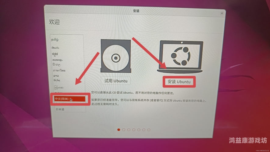 轻松掌握Windows 11安装与配置实战教程