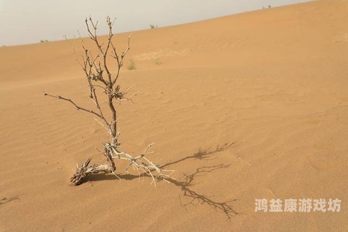 波斯王子3视频攻略，穿越千年沙漠的奇幻之旅