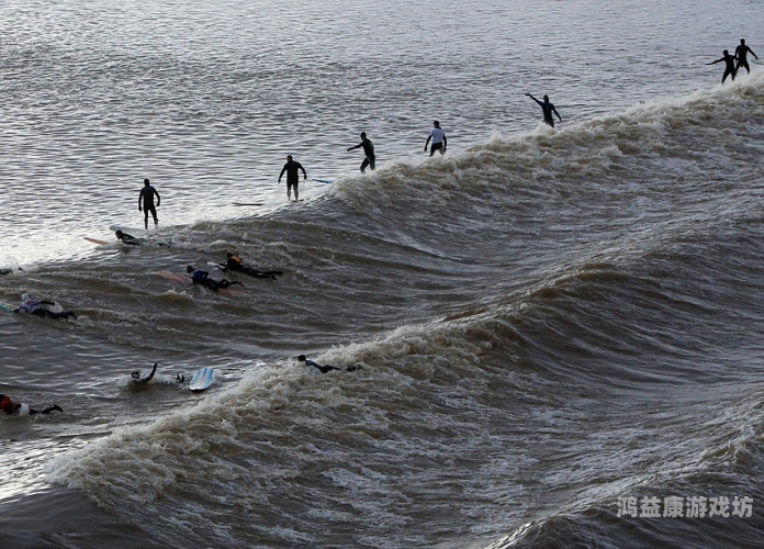 弄潮，掌控时代的弄潮儿弄潮一枝by独秀全文免费阅读