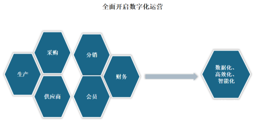 亚洲国产一区二区三区AV市场现状与发展趋势分析