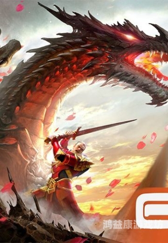 混沌与秩序对决攻略，掌握战斗艺术，成为最强王者