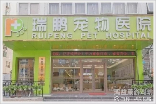 安装，IT 业界的基石与技术精通的钥匙