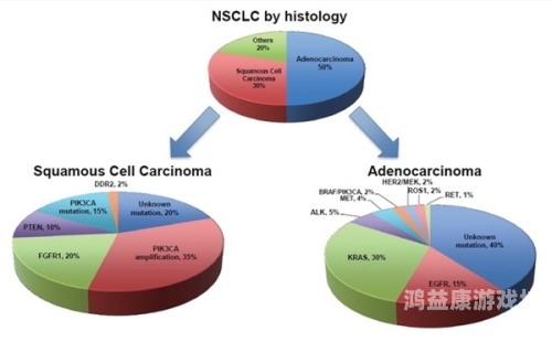 正版之路，探讨数字版权管理的现状、挑战与未来展望