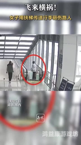 孕妇乘动车被行李砸中腹部致胎儿死亡，引发公众对公共交通安全关注孕妇坐车车被撞击胎儿有没有危险