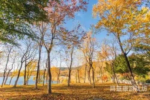 秋之回忆，在无尽的落叶声中找寻逝去的时光