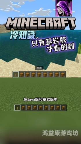 Minecraft基岩版，搭建梦想世界的基石minecraft基岩版1.21.41