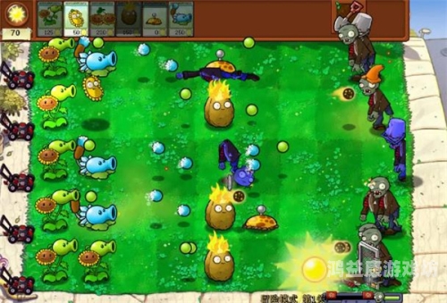 植物大战僵尸在线玩版，探索绿意盎然的策略游戏新体验