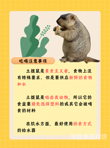 土拨鼠为什么会突然大叫，揭秘背后的原因与行为学意义土拨鼠为啥大喊大叫