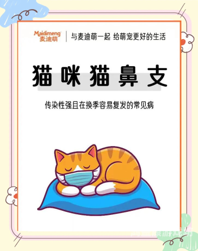 美国最新BBX病毒，传播速度、症状与防控措施全解析