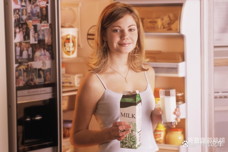 探索日本精品视频一区二区，文化、内容与市场分析成人用品店的东西怎么买